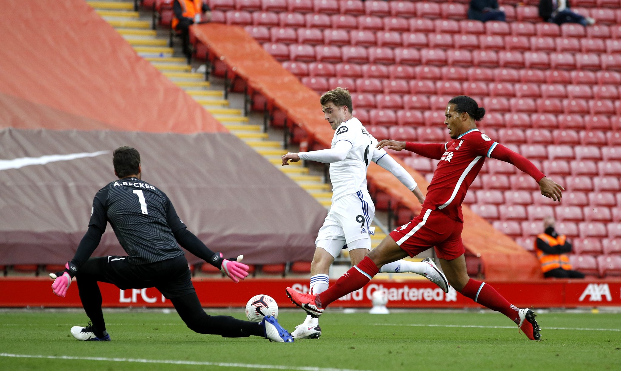 仅为三狮军 仅为三狮军